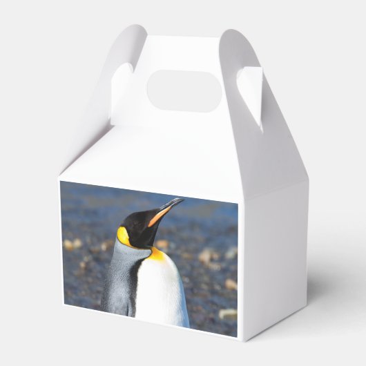 Penguin Portrait Bedankdoosjes (Achterkant)
