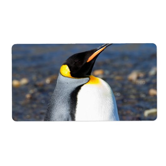 Penguin Portrait Etiket (Voorkant)