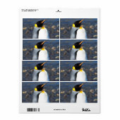 Penguin Portrait Etiket (Full Sheet)