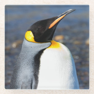 Penguin Portrait Glazen Onderzetter
