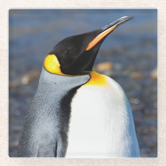 Penguin Portrait Glazen Onderzetter (Voorkant)