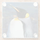 Penguin Portrait Glazen Onderzetter (Achterkant)