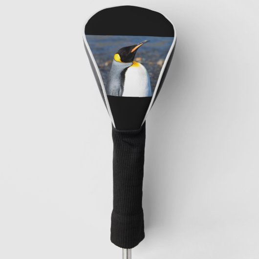 Penguin Portrait Golfheadcover (Voorkant)