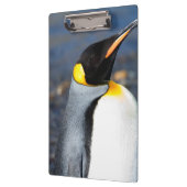 Penguin Portrait Klembord (Links)