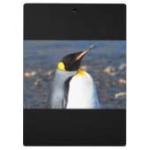 Penguin Portrait Klembord (Achterkant)
