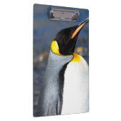 Penguin Portrait Klembord (Rechts)