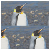 Penguin Portrait Stof (Close Up)