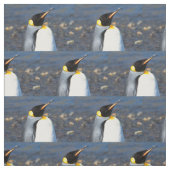 Penguin Portrait Stof (Swatch)