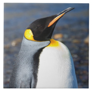 Penguin Portrait Tegeltje