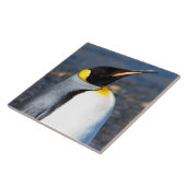 Penguin Portrait Tegeltje (Zijkant)