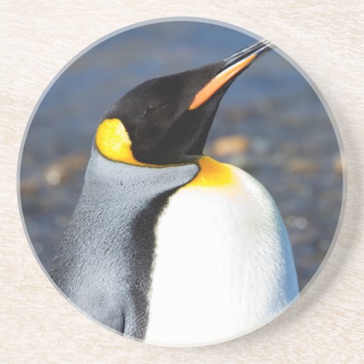 Penguin Portrait Zandsteen Onderzetter (Voorkant)