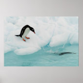 Penguin Poster (Voorkant)