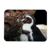 Penguin Premium Magnet Magneet (Horizontaal)
