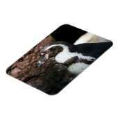 Penguin Premium Magnet Magneet (Linkerzijde)