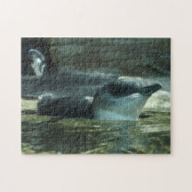 Penguin Puzzle
