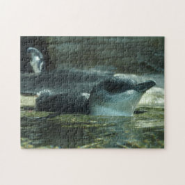 Penguin Puzzle Legpuzzel