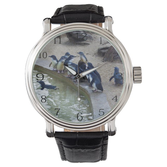 Penguin Relay: Penguin Flock Swim Team, Horloge (Voorkant)