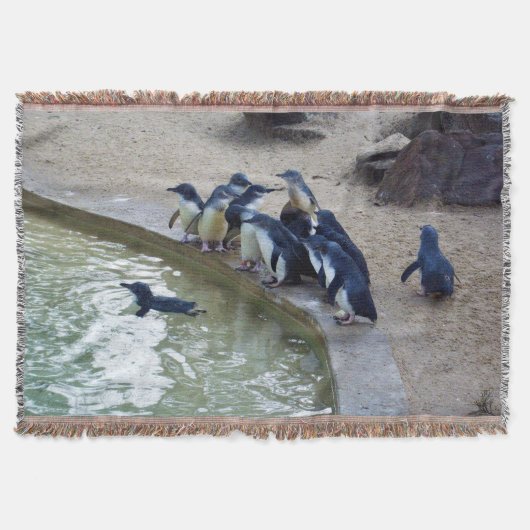 Penguin Relay: Pinguïn Kudde Zwem Team, Deken (Voorkant)