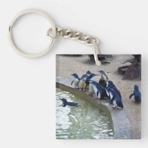 Penguin Relay: Pinguïn Kudde Zwem Team, Sleutelhanger