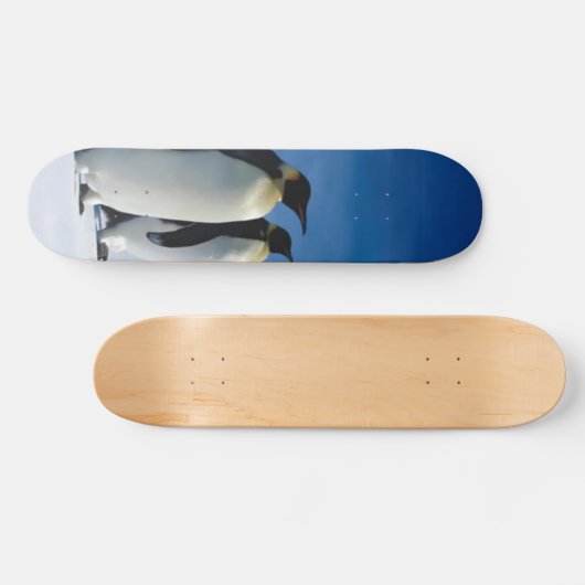 Penguin Skateboard (Horizontaal)