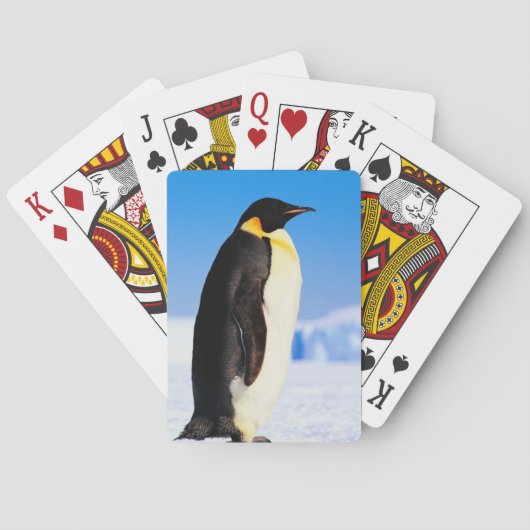 PENGUIN SPEELKAARTEN (Achterkant)
