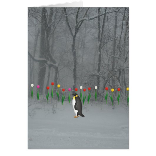Penguin Spring Walk (Voorkant)