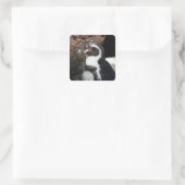 Penguin Sticker (Tas)