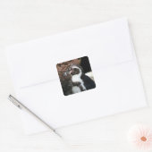 Penguin Sticker (Envelop)