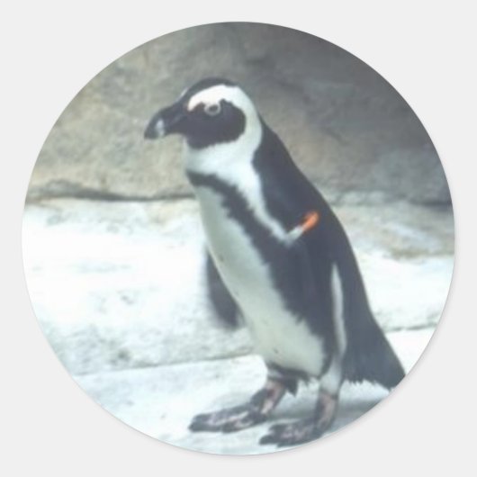Penguin Sticker (Voorkant)