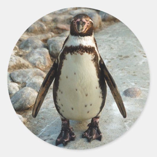 Penguin stickers (Voorkant)