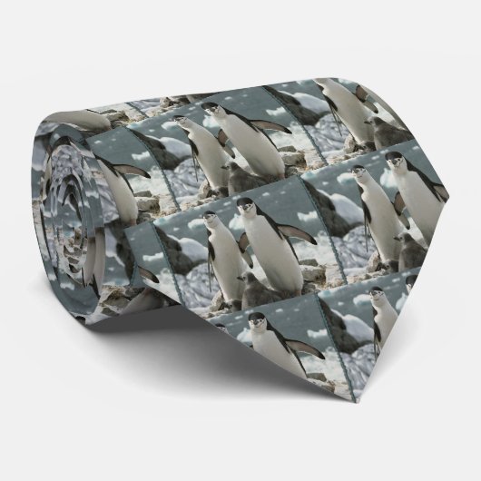 Penguin Stropdas (Opgerold)