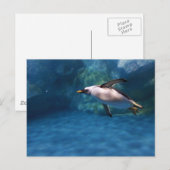 Penguin Swimming Underwater Briefkaart (Voorkant / Achterkant)