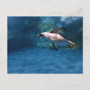 Penguin Swimming Underwater Briefkaart
