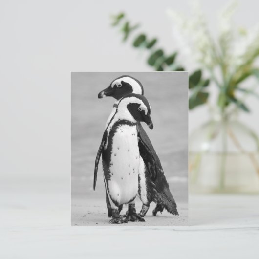 Penguin Two Briefkaart (Staand voorkant)