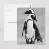 Penguin Two Briefkaart (Voorkant / Achterkant)