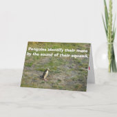 Penguin Valentijn Feestdagen Kaart (Voorkant)