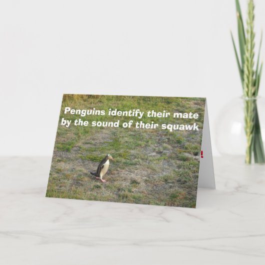 Penguin Valentijn Feestdagen Kaart (Voorkant)