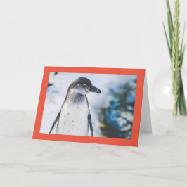 PENGUIN Vouw Kerstkaart Feestdagen Kaart