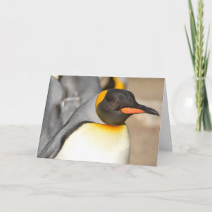 PENGUIN Vouwkaart Kaart