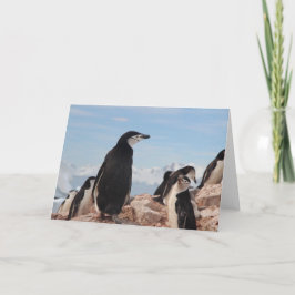 PENGUIN Vouwkaart Notitiekaartje