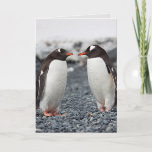 PENGUIN VRIENDSCHAP VRIEND WENSKAART KAART