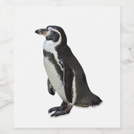 Penguin Wijn Etiket (Enkel label)