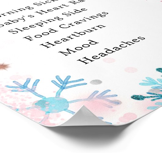 Penguin Winter Gender onthulling oude Wives Tales Poster (Hoek)