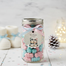 Penguin Winter Twins Baby Shower Boy Girl Bedankjes Labels