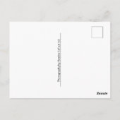 Penguin Zwemmen Briefkaart (Achterkant)