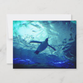 Penguin Zwemmen Briefkaart
