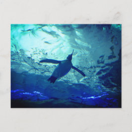 Penguin Zwemmen Briefkaart