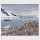 PENGUINES BESIDE ZEE CADEAUPAPIER (Vlak)