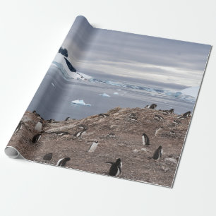 PENGUINES BESIDE ZEE CADEAUPAPIER