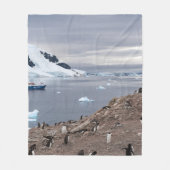 PENGUINES BESIDE ZEE FLEECE DEKEN (Voorkant)